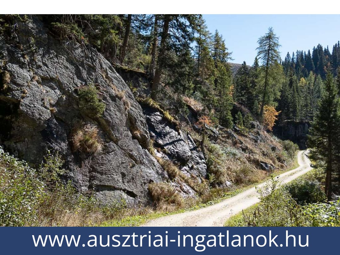 ausztriai-ingatlanok-st. gertraud-9413-20251010214100-0034901019.jpg ausztriai-ingatlanok-st. gertraud-9413-20251010214100-0034901019.jpg